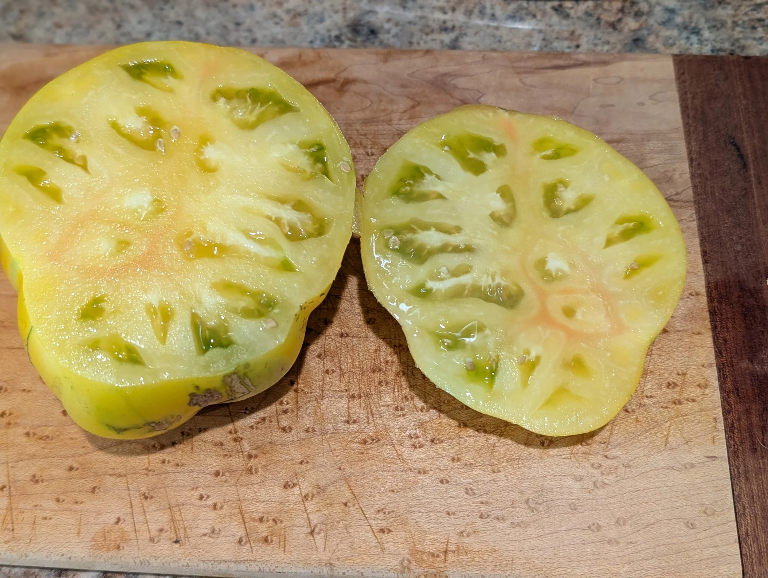 Craig LeHoullier - 2025 Garden Review - Part 2. Tomatoes - Old